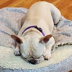 Meet your Posher, Anna